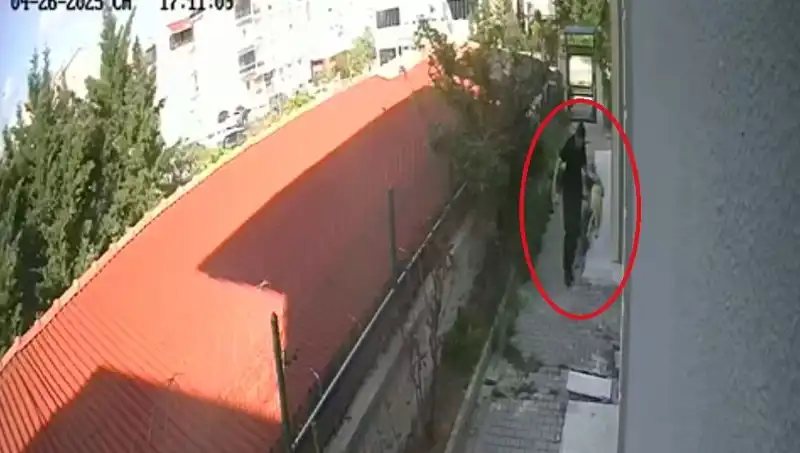 Evde Köpekleri Parçaladı: Tıp Doktoruna Şok Tutuklama