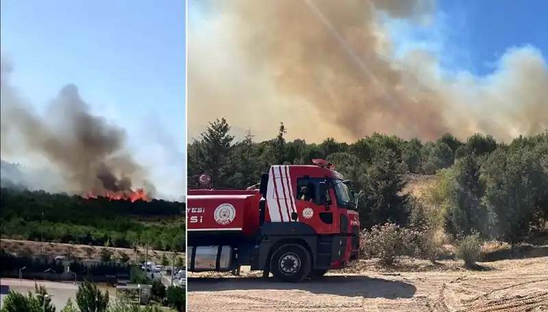 Gebze'de Tüm Türkiye'yi Üzen Büyüyen Orman Yangını