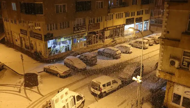 Bir Günde İki Mevsim: Gece Yağan Kar, Sabah Gelen Bahar Şaşkınlığı