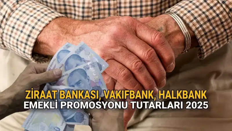 2025'te Emekli Maaş Promosyonları: Kamu Bankaları Ne Sunuyor?