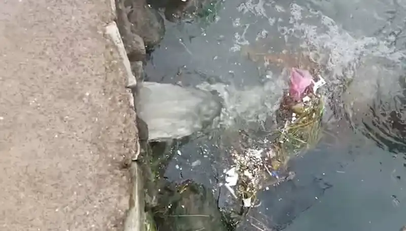 Çınarcık Belediyesi'ne 1,3 Milyon TL Kirlilik Cezası! Olayın Detayları Neler?