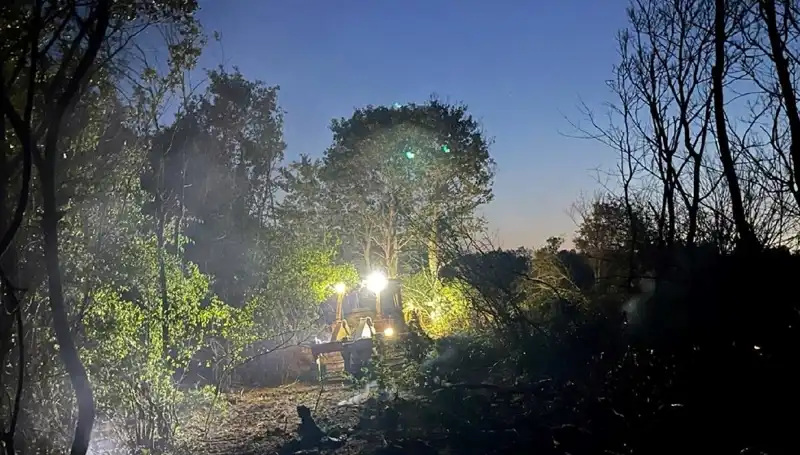 Edirne'deki Orman Yangınında Kritik Müdahale: Yangın Kontrol Altına Alındı
