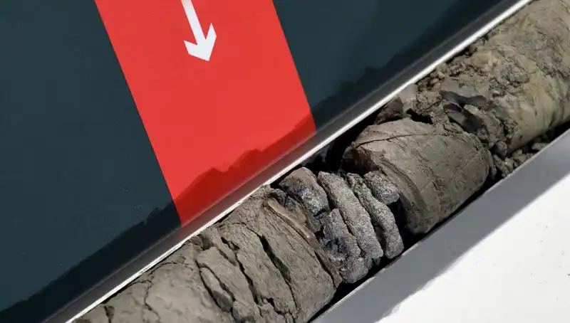 Müze Otoparkında Tarihin Derinliklerinden Dinozor Fosili Keşfedildi!