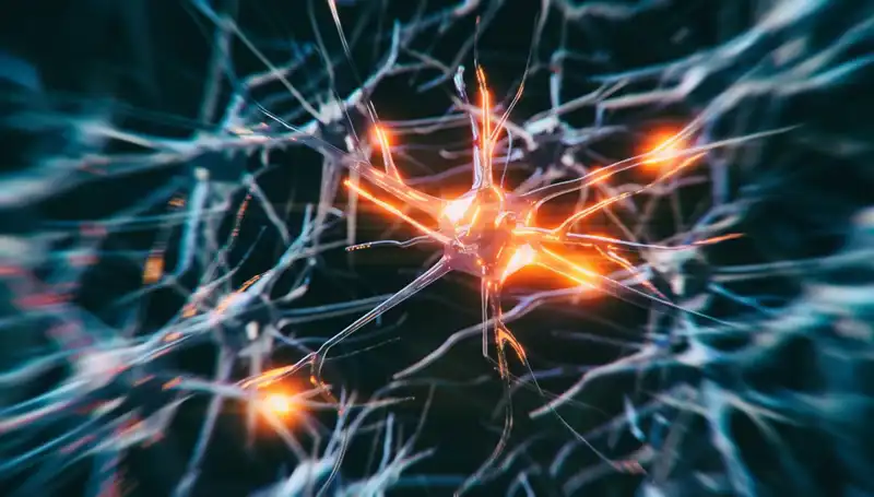 Alzheimer Vakalarının Artışında Yatan Sebepler ve Etkileri