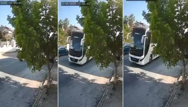 Bir Hayvanseverin Yürek Yakan Anı: Yolda Yatan Köpeğe Dikkat Edin!