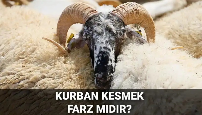 Kurban Kesmek Farz mı? Diyanet’e Göre Hükmü ve Şartları