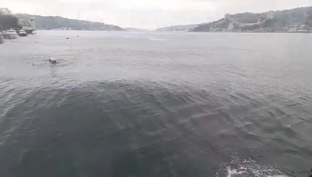 İstanbul Boğazı’nda Yükselen Dalgalar: Eyvah, Doğa Kollarını Sarmaya Mı Başladı?