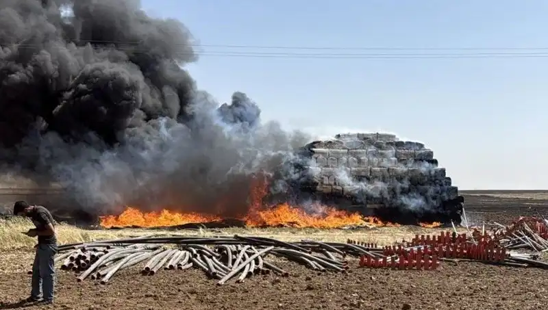 Mardin'de Ortaya Çıkan Anız Yangını, Tarım Alanlarını Tehdit Ediyor!