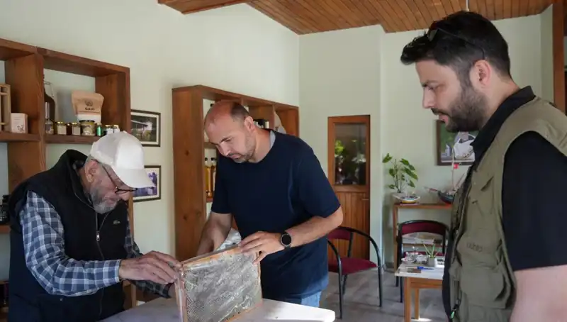 Doktorlar Uyarıyor: Bu Doğal Ürün Hem Şifa Hem de Zehir Olabilir!