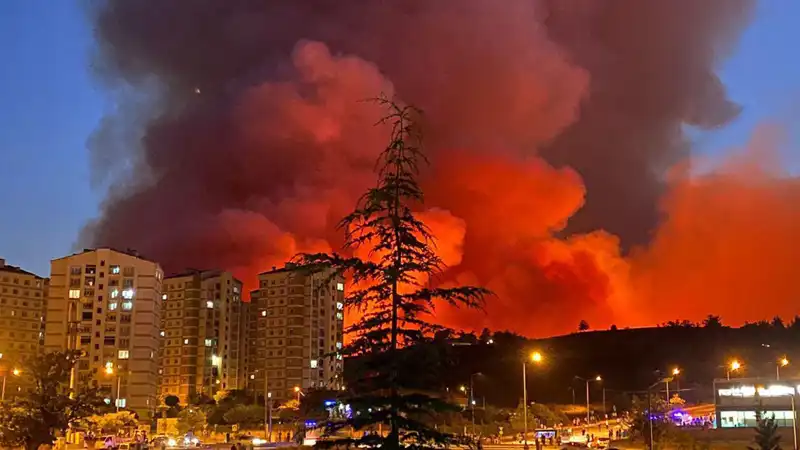 Bursa'da Yangınlar Şehri Tehdit Ediyor: Acil Önlemler Alınmalı