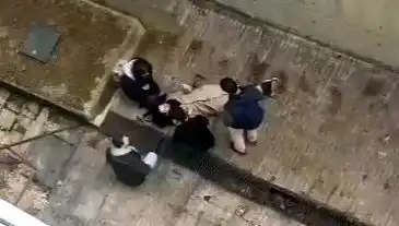 Kampüste Köpek Paniği: Düşen Öğrenci Yaşadığı Korku Dolu Anları Anlattı