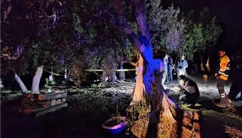 Çiftlikte Baltalı Vahşet: Gerçeklerin Ortaya Çıkması İçin İlk Tutuklama