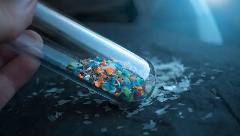 Mikroplastikler Beynimizde: Sağlığımıza Etkileri ve Gelecek Tehlikesi