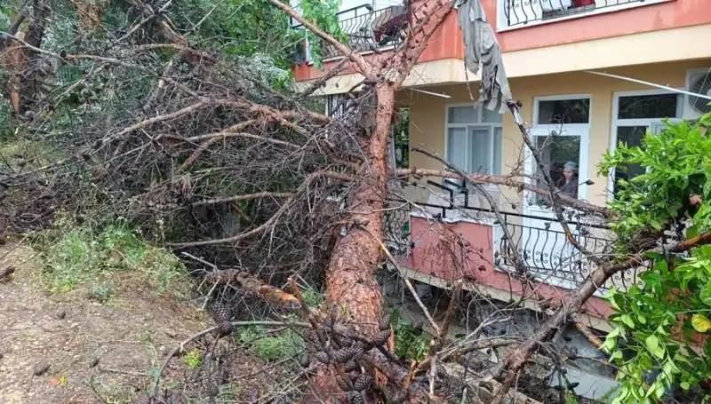 Yağmurun Gücü: Binasını Tutuşan Sözler Gerçek Oldu!