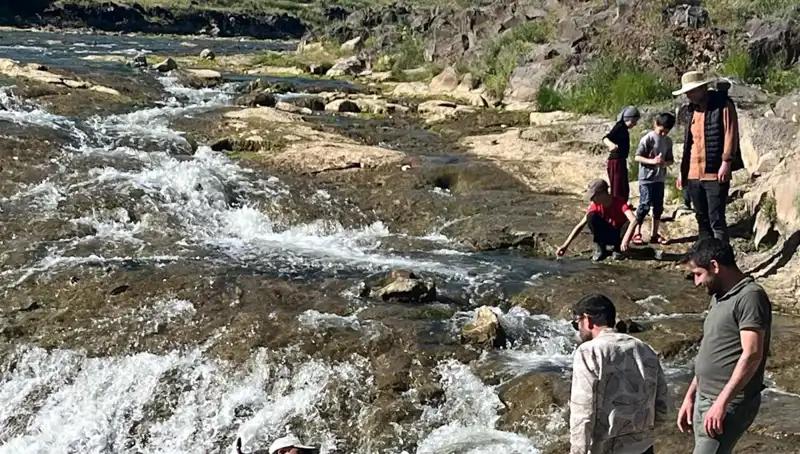 İnci Kefali Göçü: Binlerce Kilometreyi Aşan Doğanın Bu Harikası