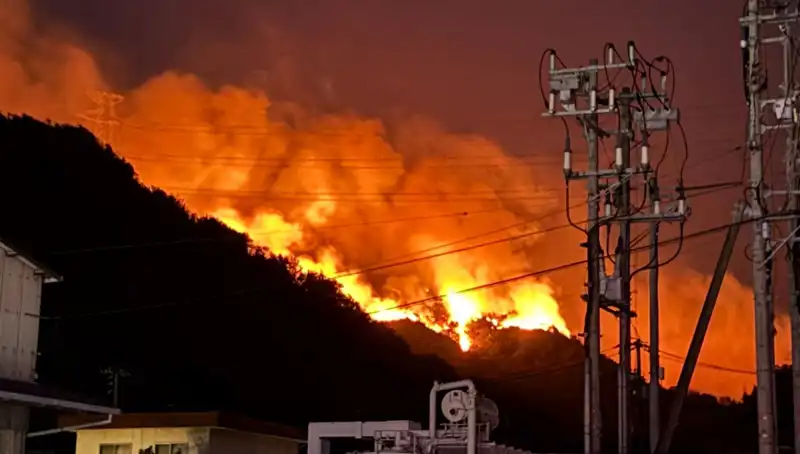 Japonya’da Orman Yangınları: İki Eyalet Tehlikede, Alarm Durumuna Geçildi!