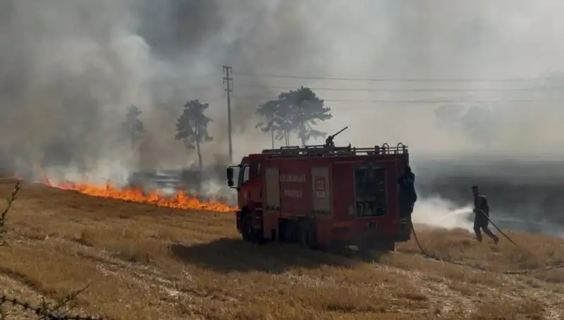 Kırklareli'nde Anız Yangını: Tarım Arazileri Korku İçinde!