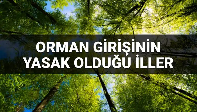 2025'te Orman Girişine Yasaklanan İllerde Neler Oluyor?